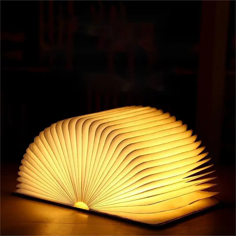 DOZALA™ Wooden Book Lamp